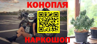 крисы Аргун