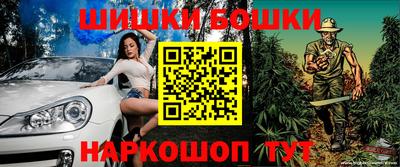 крисы Аргун