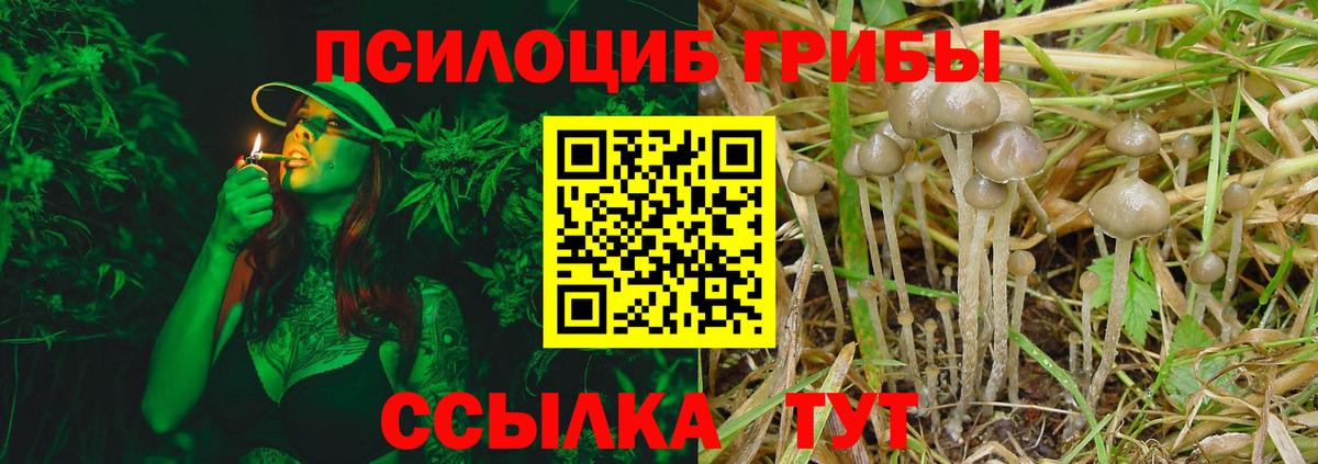 Псилоцибиновые грибы мухоморы  Вход с VPN  Владикавказ 